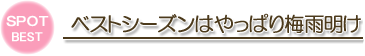 ベストシーズンはやっぱり梅雨明け